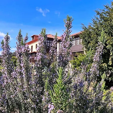 Hotel Venancios