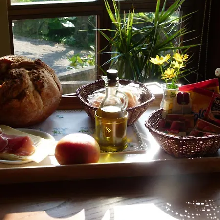 Venancios Otel Bones