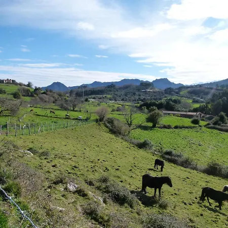 Venancios