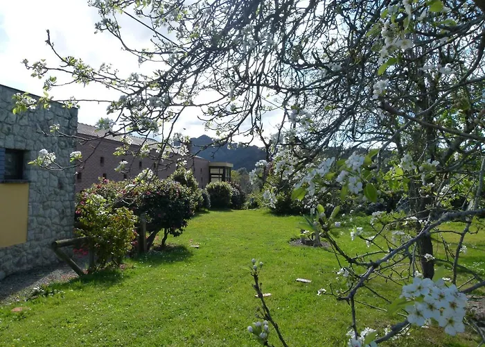 Venancios Hotel Bones