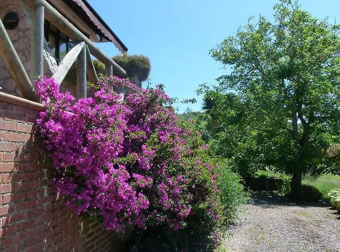 Venancios Hotel Bones