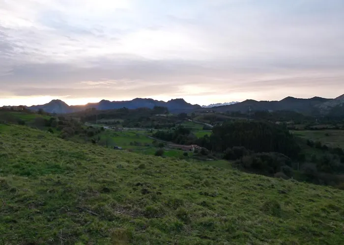 Venancios Hotel Bones