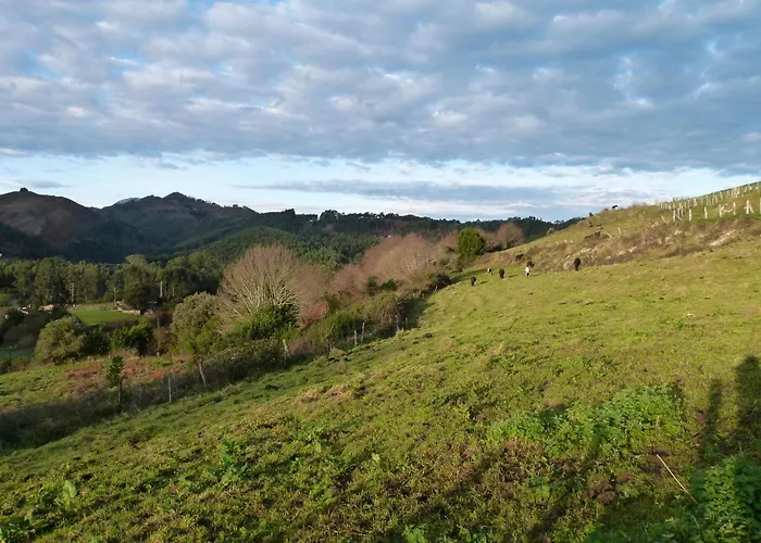Venancios Hotel Bones