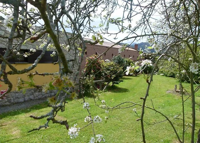 Venancios Hotel Bones