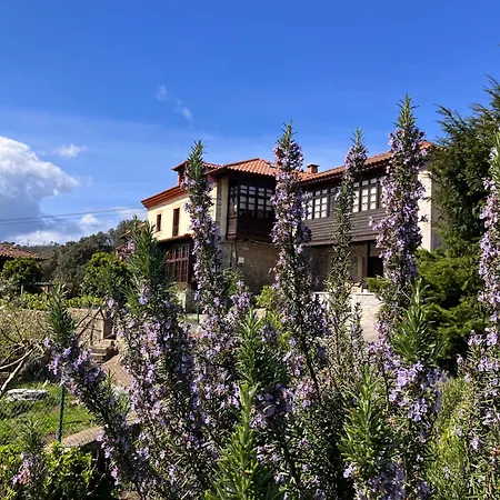 Hotel Venancios