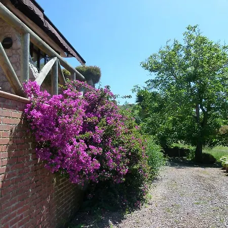 Venancios Hotel Bones